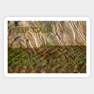 Keep calm and go rock pooling Sticker